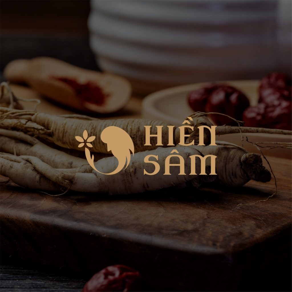 Thiết kế logo Hiền Sâm